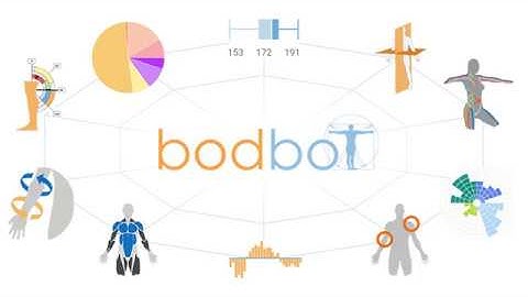 BodBot - Intelligent Workout Planning - Pushup Demo 15s