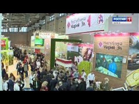 Смотреть фото В Москве начала работу агропромышленная выставка «Золотая осень-2019» новости россия москва Смотреть фото В Москве начала работу агропромышленная выставка «Золотая осень-2019» новости россия москва