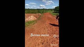 #cavalo vaquejada#mangalarga machador