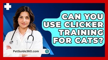 Can You Use Clicker Training For Cats? - PetGuide360.com