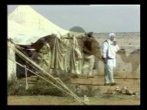 اشرف محفوظ المعيط النجع