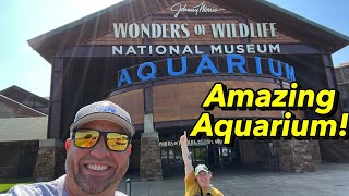 Wonders of Wildlife National Museum Aquarium Springfield Missouri