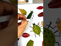 Drawing insects using leaf #viral #drawing #ytshorts #subscribe #artandcraft