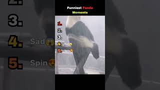 Funniest Panda Moments