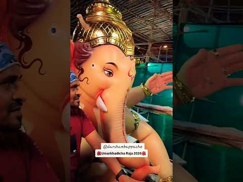 Umarkhadicha Raja | 2026 first look #umarkhadicharaja