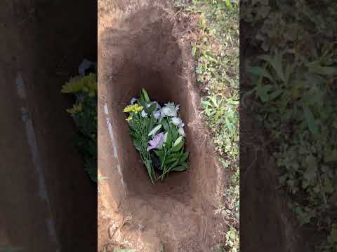 プラムちゃんとお別れ