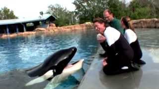 BLACKFISH | Trailer (Subtítulos en Español) | HD