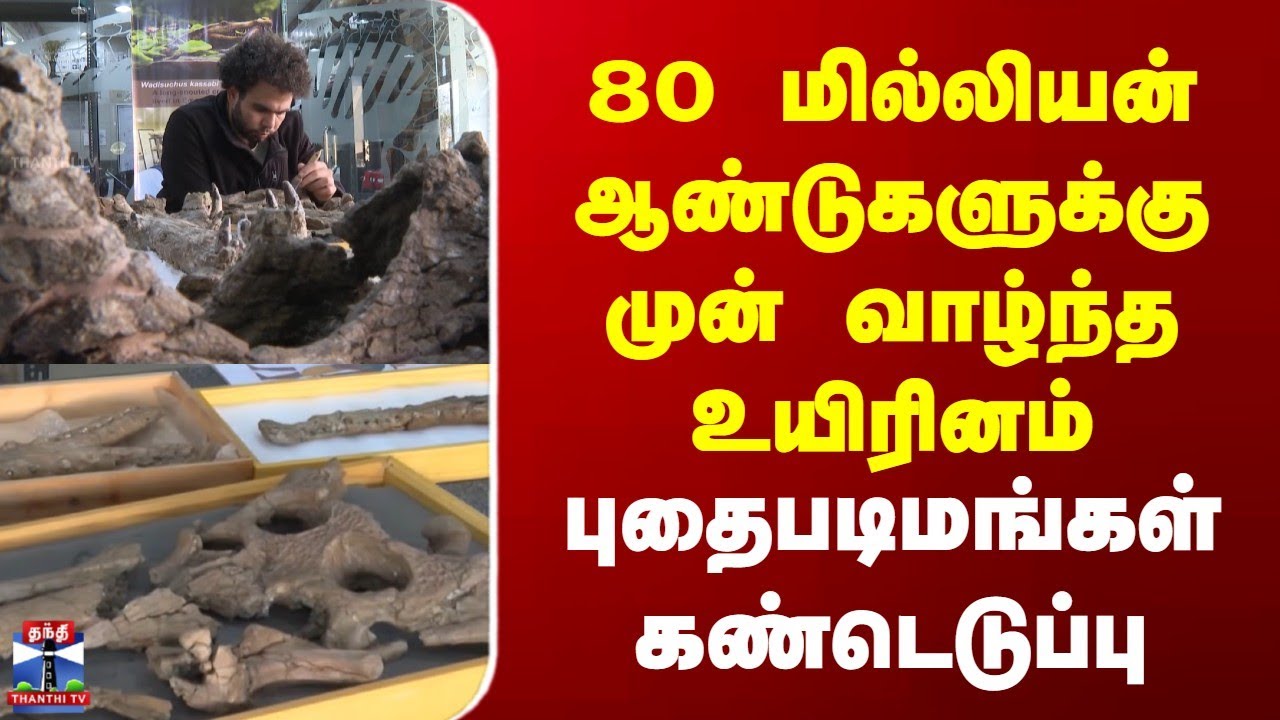 Fossil | Egypt | 80 மில்லியன் ஆண்டுகளுக்கு முன் வாழ்ந்த உயிரினம் | புதைபடிமங்கள் கண்டெடுப்பு