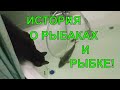 Маленькая история о Рыбаках и Рыбке!