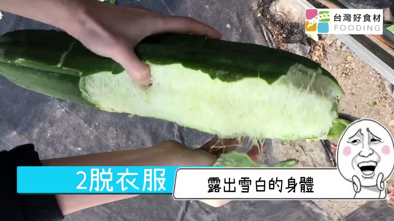 神奇！一分鐘看絲瓜變絲瓜絡（菜瓜布）Loofah Scouring Pad  台灣好食材 Fooding