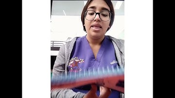 clase 29 de computación 1°A