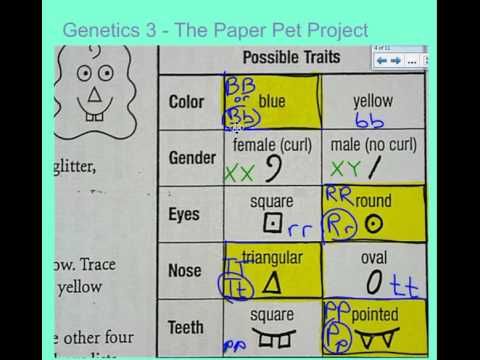 Essay on genetics