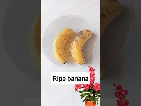 Video: Kako napraviti kostim banana za pse