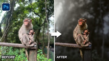 Try This Easy Color Grading Using Just 4 Gradients in Photoshop Camera Raw