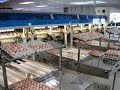 EXN - 3000 - Egg Grading and Packing System ( 2010 г.)