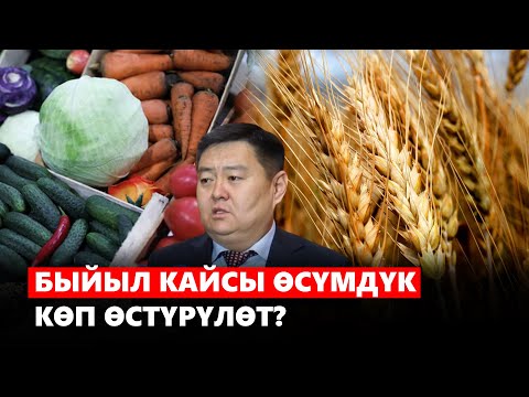 Video: Кайсы өсүмдүк миңдердин энеси деп аталат?