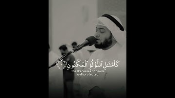 تلاوة مميزة وخاشعه للقارئ " احمد النفيس." // WhatsApp Religious Cases ❤️🌿🥀