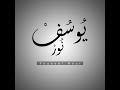 جهد المقل في صفة النبي صلى الله عليه وسلم - للشيخ عبد الله السالم الشنقيطي - يوسف نور