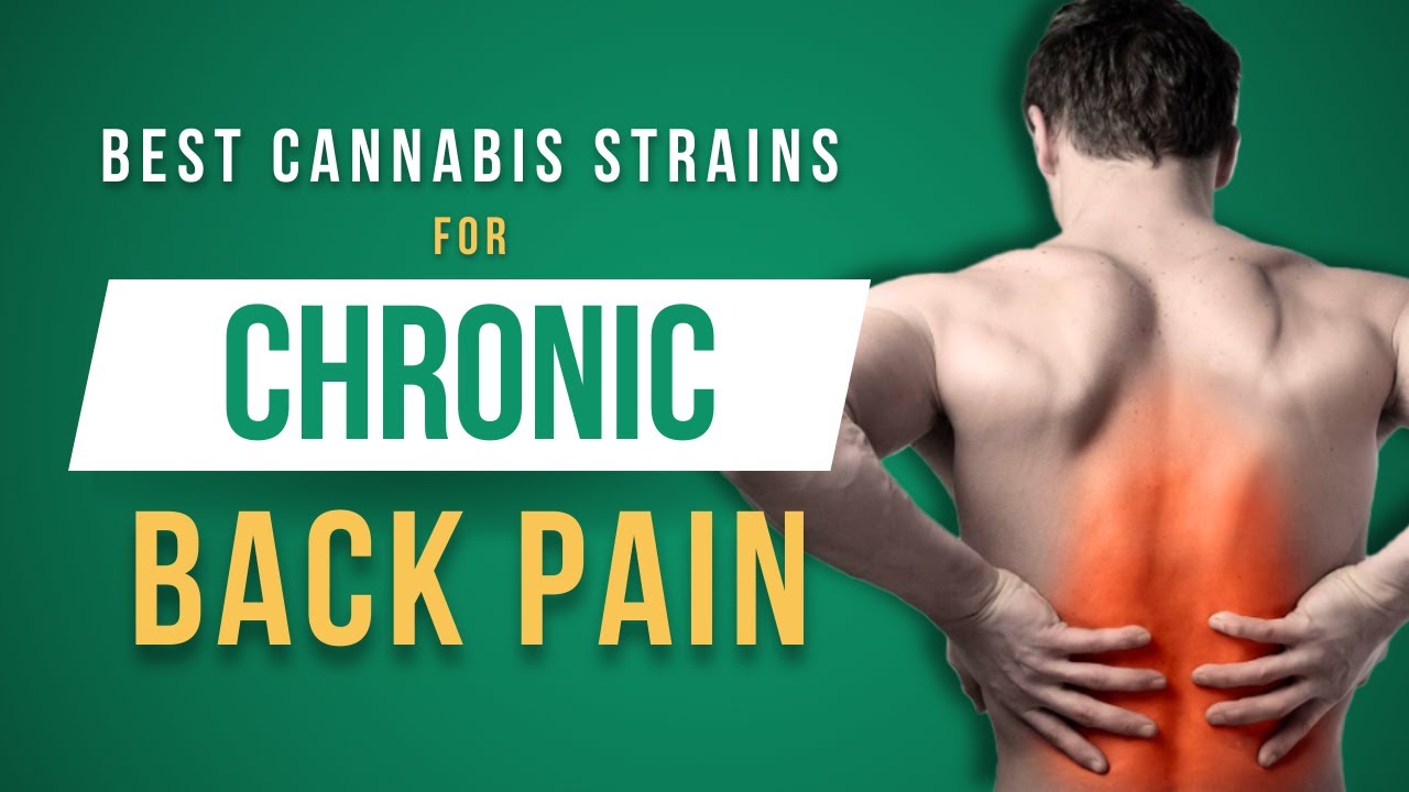 MMJ Strains for Chronic Back Pain