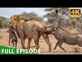 BLOODY SAVANNAH: Survival in the Heart of Africa | 4K UHD #natureanimaldocumentary