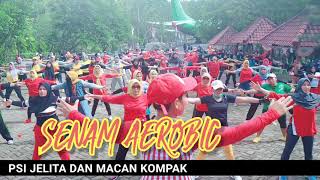 SENAM AEROBIC MACAN KOMPAK DAN PSI JELITA | HANDOYO-ASTRIED | #KOMPAK