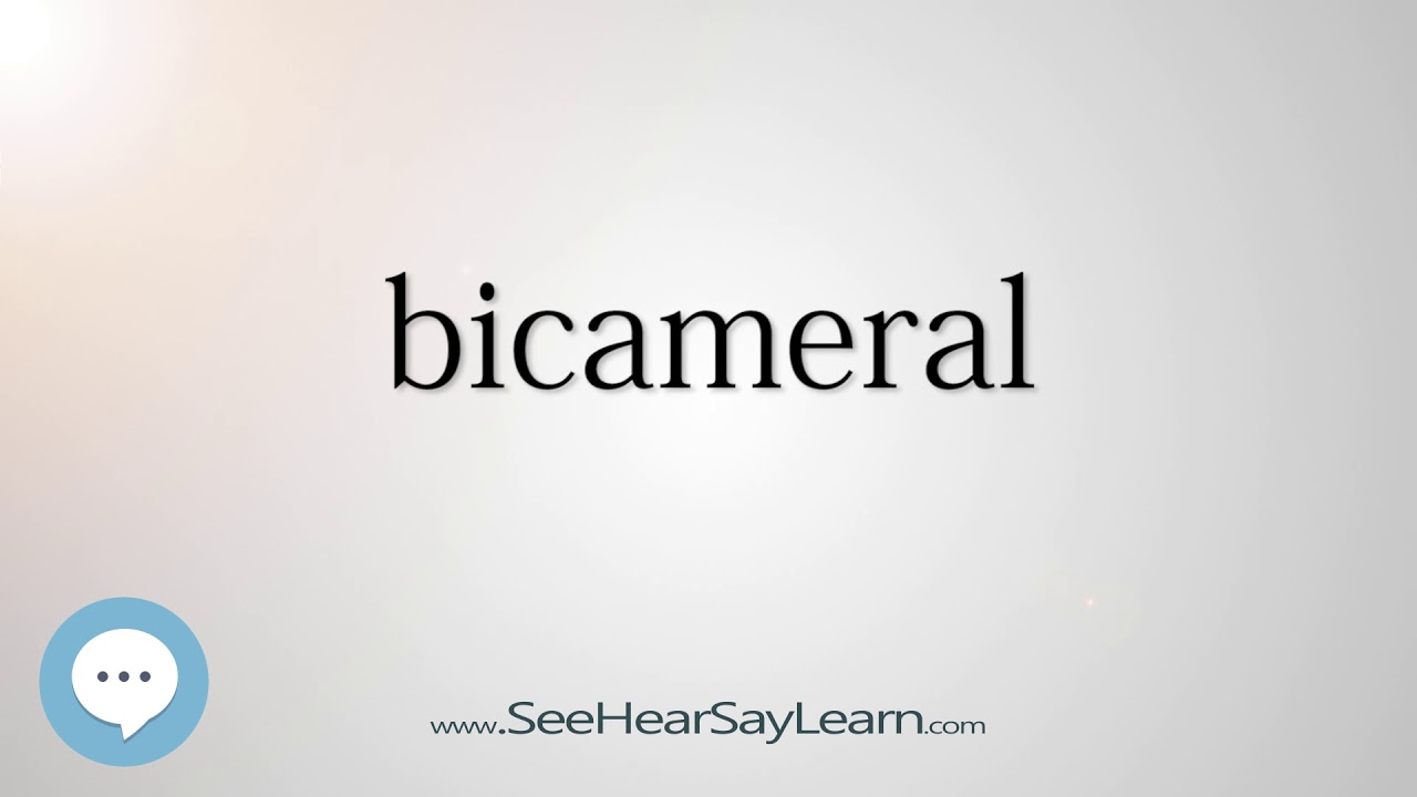 What Does Bicameral Mean Explain In Detail