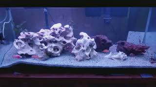 24 Hours in 3 Minutes - 247 Fully Automated LED Light