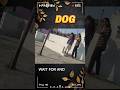 Dog Ko Hua Sister Ki Friend Se Pyar #dog #desi #dogs horts#dog videos