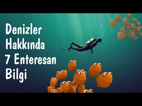 Video: Hangi Bilim Balıkları Inceler