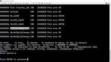 How to display the Control M job name field with more than 17 characters using ctmpsm utility
