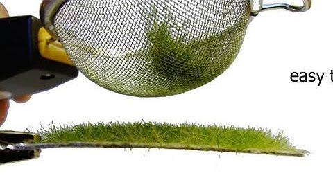 How I made easy static grass applicator at home for DIY projects so grow grass on your dirorma model