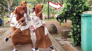 Super Shock..!! Funny Bushman prank