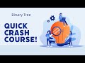 Master Binary Trees - DFS, BFS & Insertion