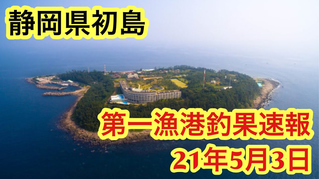 静岡県釣り 初島 釣果速報 21年5月3日 大物連発 Youtube