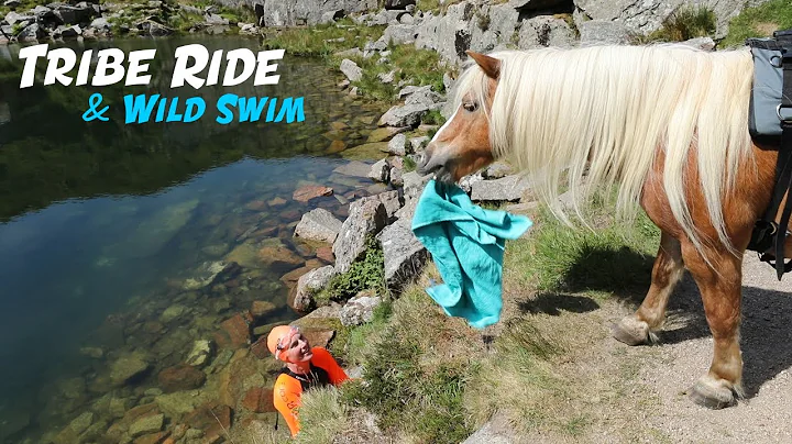 Tribe Moorland Ride & Wild Swim | CAT | DOG | PONIES x2)