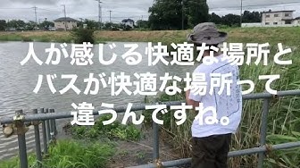 埼玉バス釣りポイント Youtube