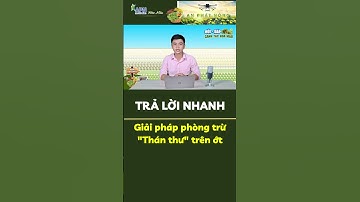 Giải pháp phòng thán thư trên ớt #shorts #apnhoamau