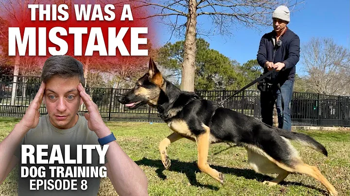 Everything was going fine until THIS happened. Reality Dog Training