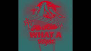 Flo Rida - What A Night ft. Inverness (Big Game Winner Mix) Resimi