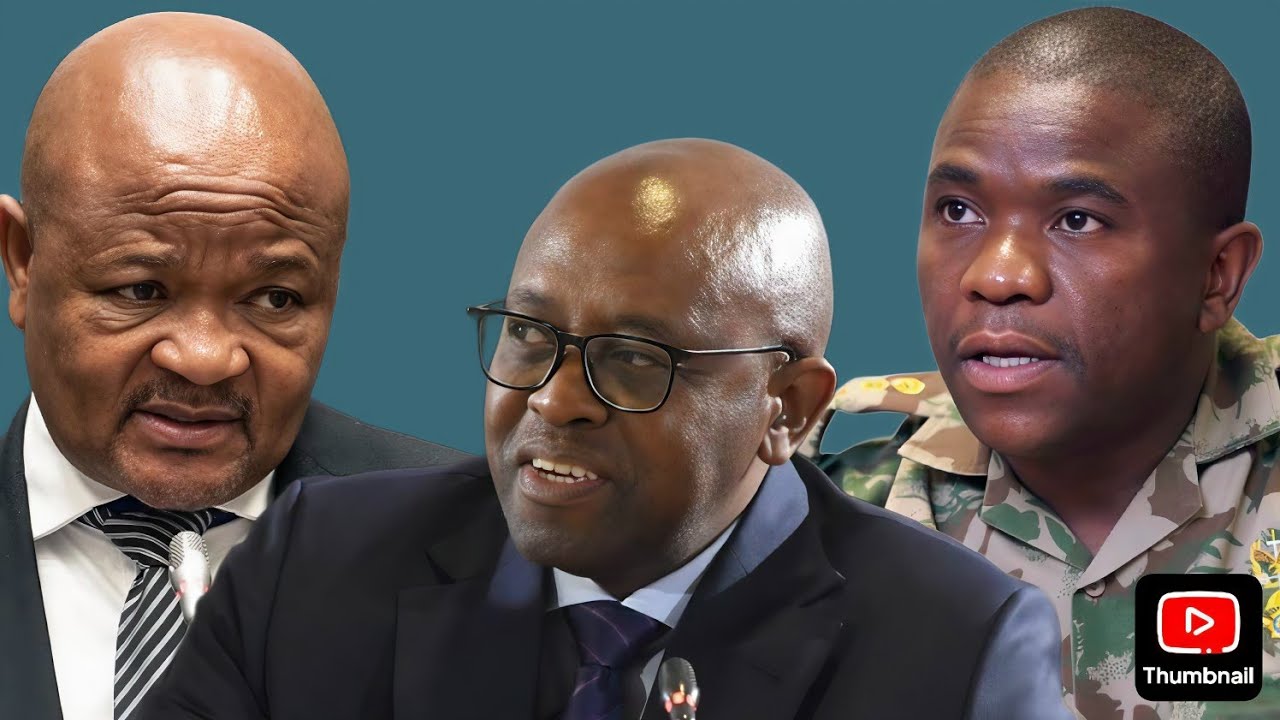 Ashley Sauls character is exposed, Minister Senzo Mchunu to testify in Madlanga Commission 