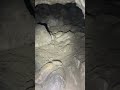 Reaching the Sketchy Part of the Horseshoe Mine #goldmines #sangabrielmountains #california