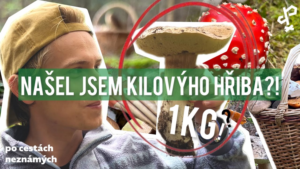 Našel jsem kilovýho hřiba?! | VLOG