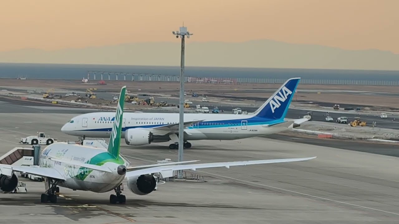 中部国際空港 ANA ボーイング787-8 JA828A & ANA ボーイング787-8 JA874A「ANA Future Promise Jet」2026年1月13日
