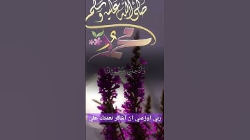 ربي لك الشكر #دينية #رمضان_كريم #حالات_واتس_اب #أذكار_المساء #quran #اكسبلور #دويتو #المصحف #لايك #