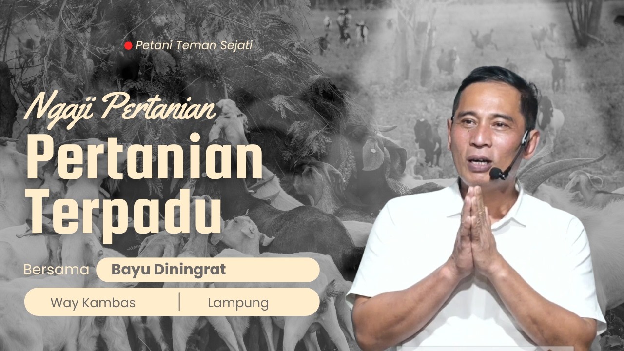 PELATIHAN Pertanian Terpadu Bayu Diningrat #lampung