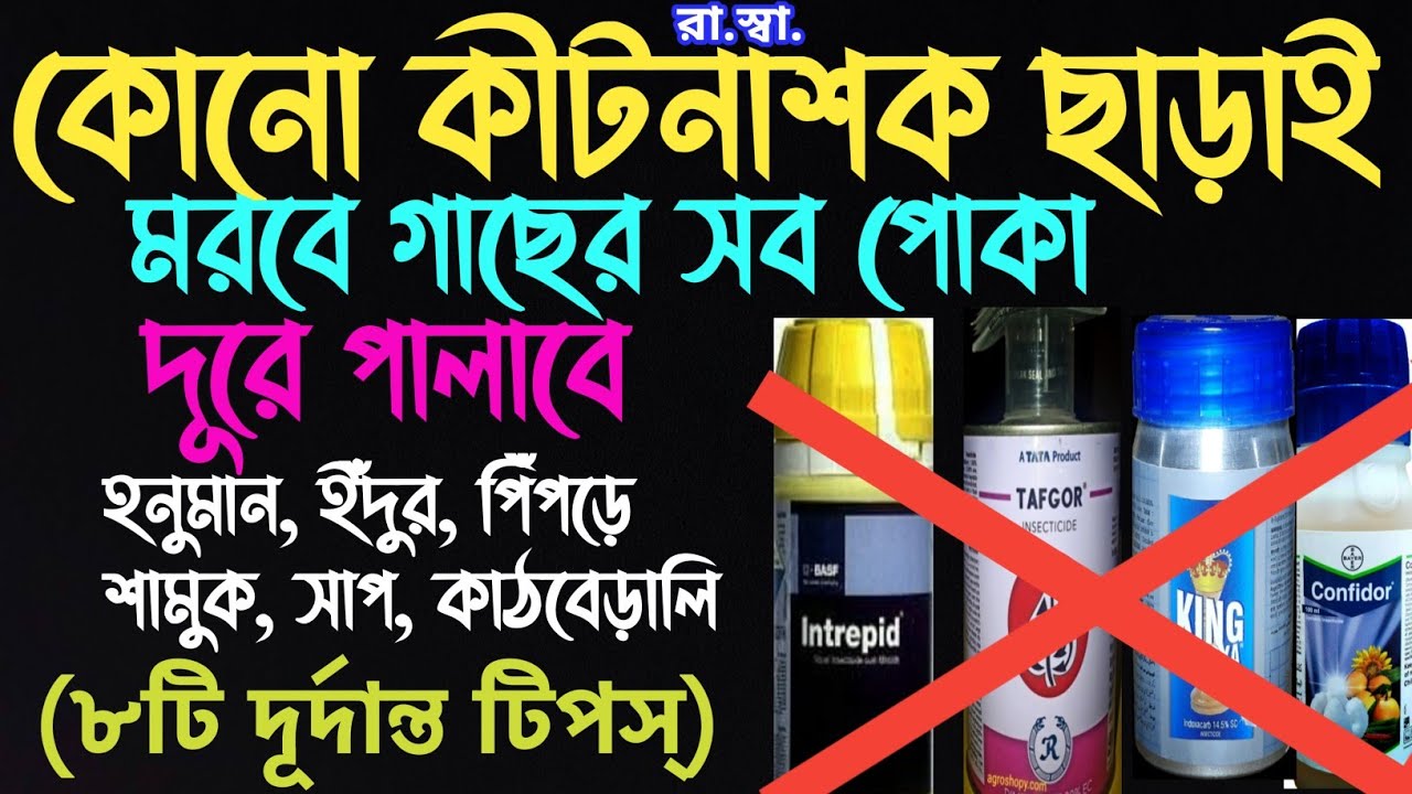 কীটনাশক ছাড়াই মরবে ছাদ বাগানের সব পোকা; দূরে পালাবে হনুমান, ইঁদুর, সাপ, পিঁপড়ে,কাঠবেড়ালি by 8Tips