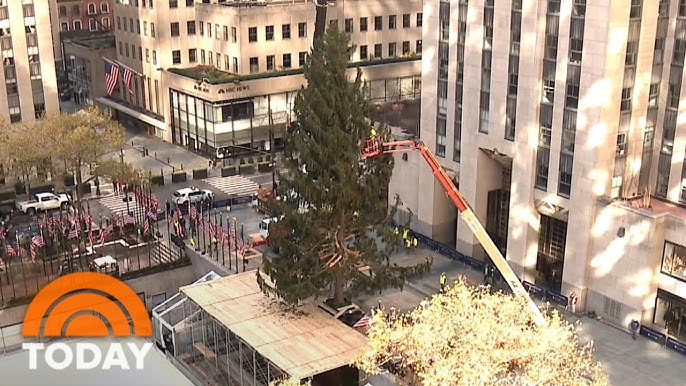 Is the Rockefeller Center Christmas Tree a 2020 Metaphor? What About the  Owl? - The New York Times