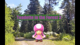 Toadette in the Forest 3 by LucasTheAgent4 423 views 1 year ago 1 minute, 9 seconds