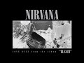 Nirvana  love buzz  lyric spanishenglish subtitulado espaol