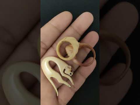 نوادر من العاج الأصلي إن كنت أملكه فحافظ عليه